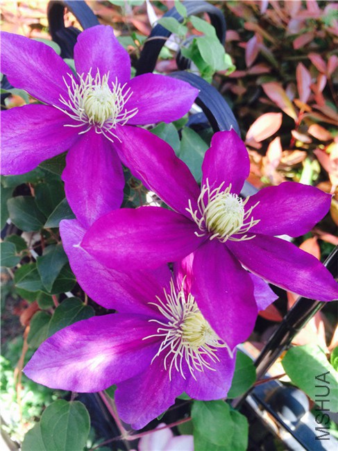 2015-04-23 162050.jpg