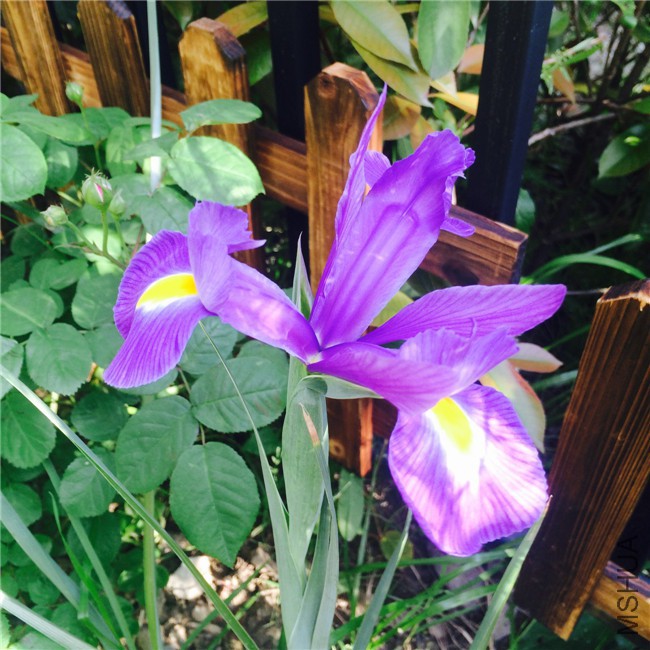 2015-04-23 162137.jpg