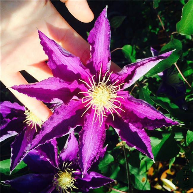 2015-04-23 162249.jpg