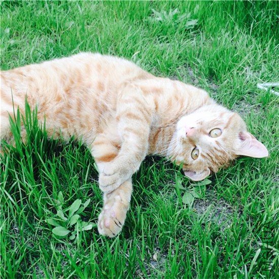 2015-04-23 162836.jpg