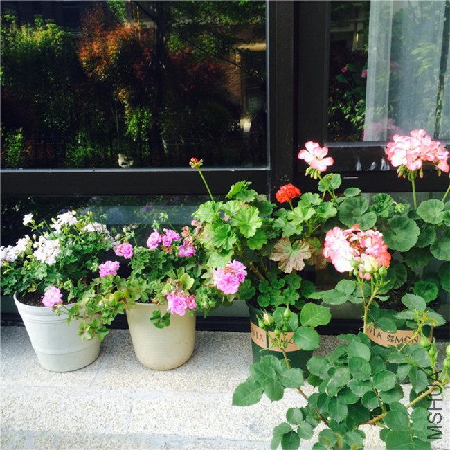 2015-04-23 163809.jpg