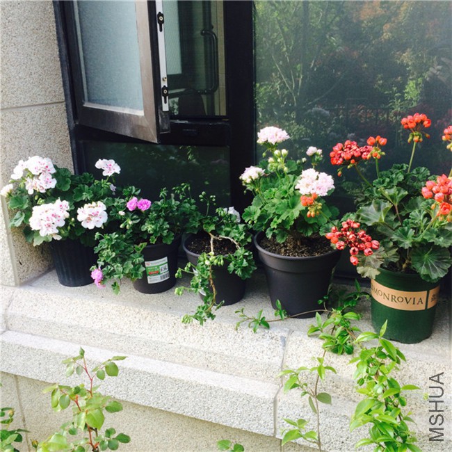 2015-04-23 163821.jpg