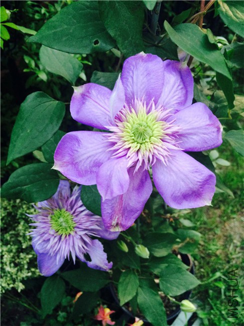 2015-04-23 180904.jpg