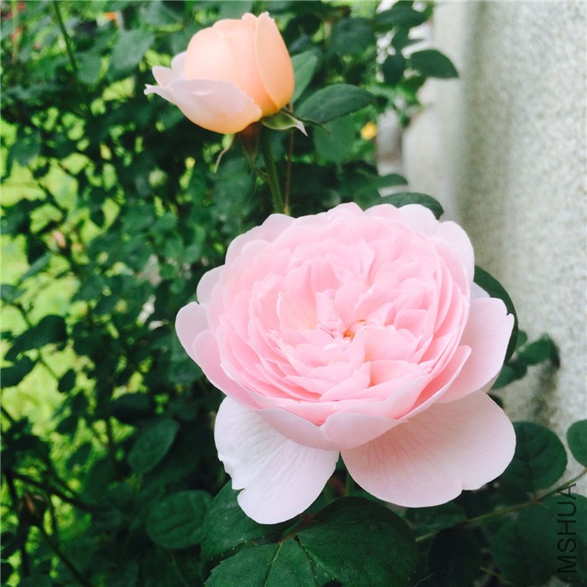 2015-05-01 083838.jpg