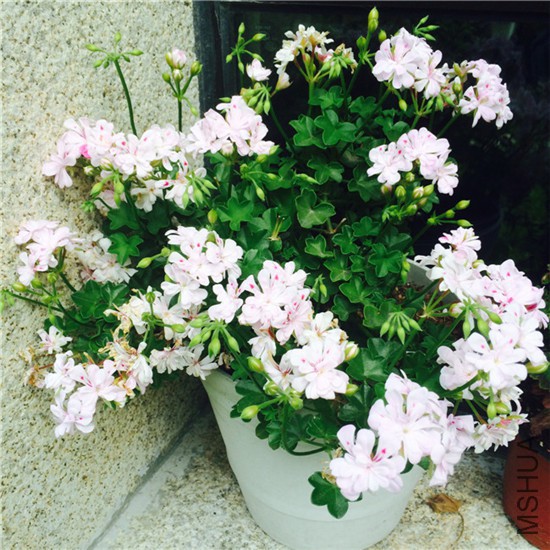 2015-05-01 083929.jpg