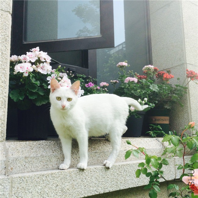 2015-05-01 084007.jpg