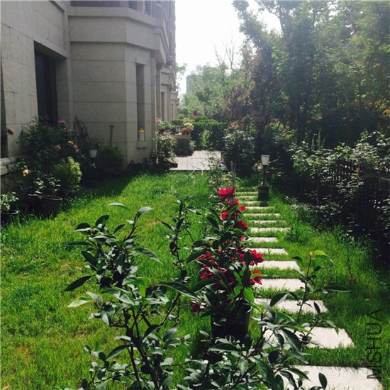 2015-05-01 084630.jpg