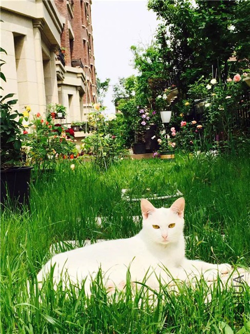 2015-05-10 201122.jpg