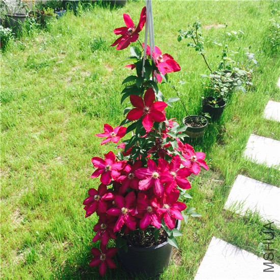 2015-05-01 084820.jpg