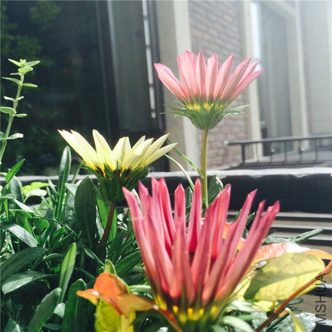 2015-05-01 085452.jpg