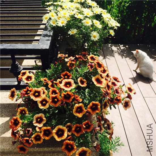 2015-05-01 085532.jpg