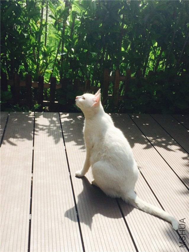 2015-05-01 085603.jpg