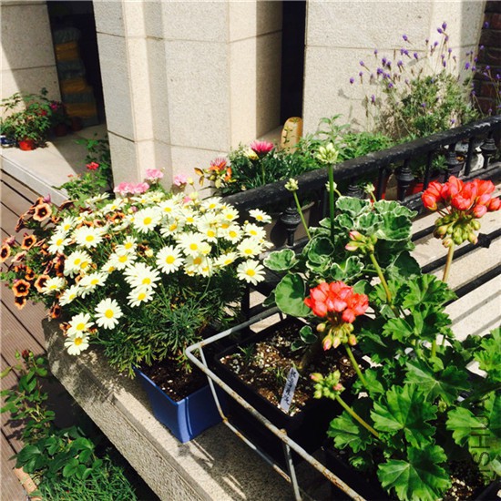 2015-05-01 085641.jpg