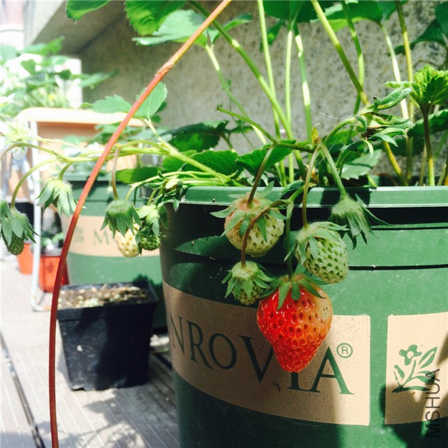 2015-05-01 085843.jpg