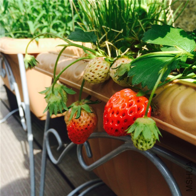 2015-05-01 085901.jpg