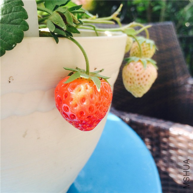 2015-05-01 085934.jpg