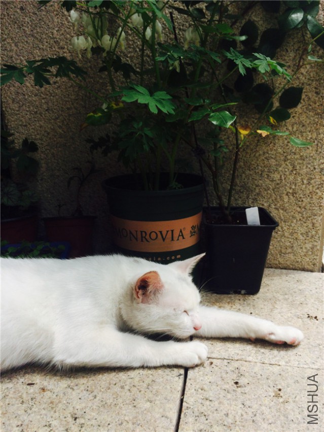 2015-05-03 112138.jpg