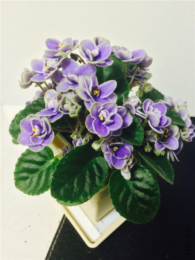 2015-05-06 212504.jpg