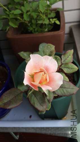 20150516_114040.jpg