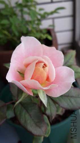 20150516_164337.jpg