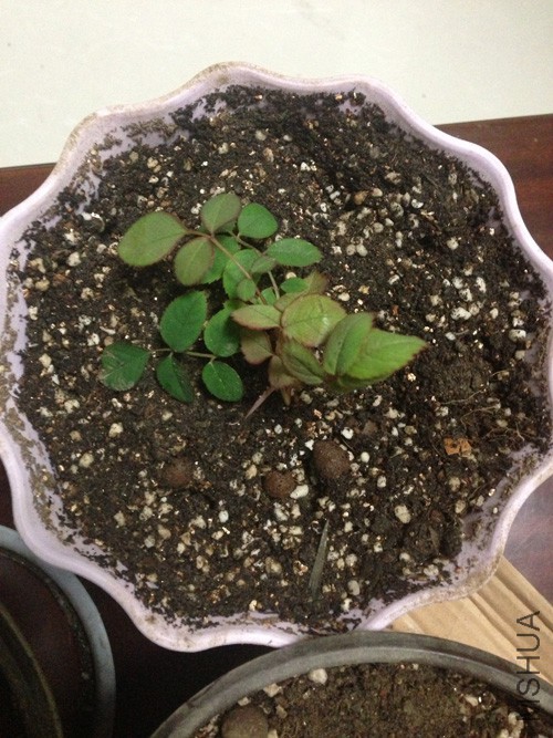 ������14��3��