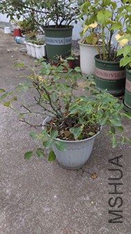 QQͼƬ20150518101953.jpg