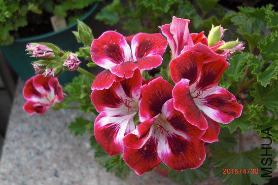 200206x6f7d77j66s7cm7z.jpg