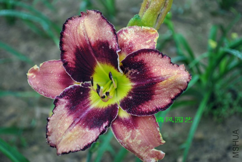 ���۲ʵ� (1).jpg