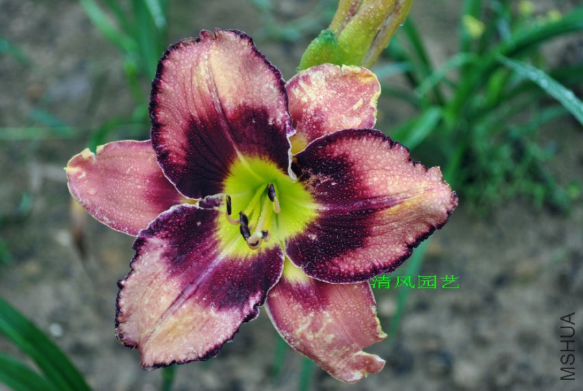 ���۲ʵ� (3).jpg