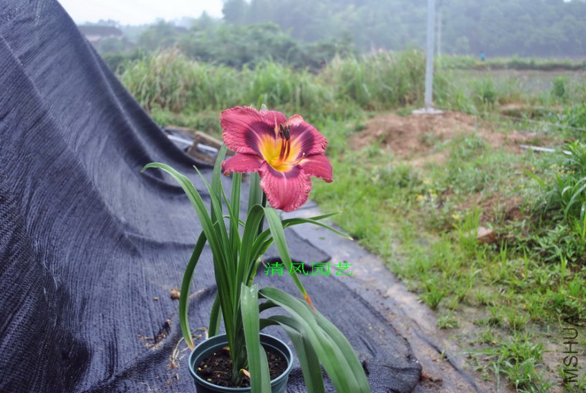 ���ֲʵ� (2).jpg