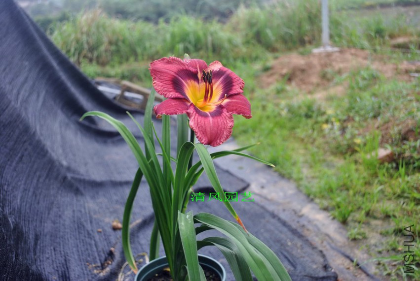 ���ֲʵ� (3).jpg