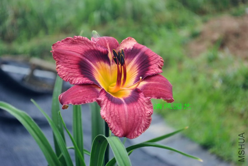 ���ֲʵ� (4).jpg