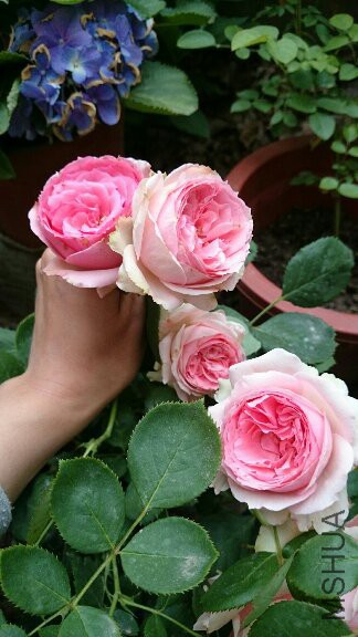 0517_9.jpg