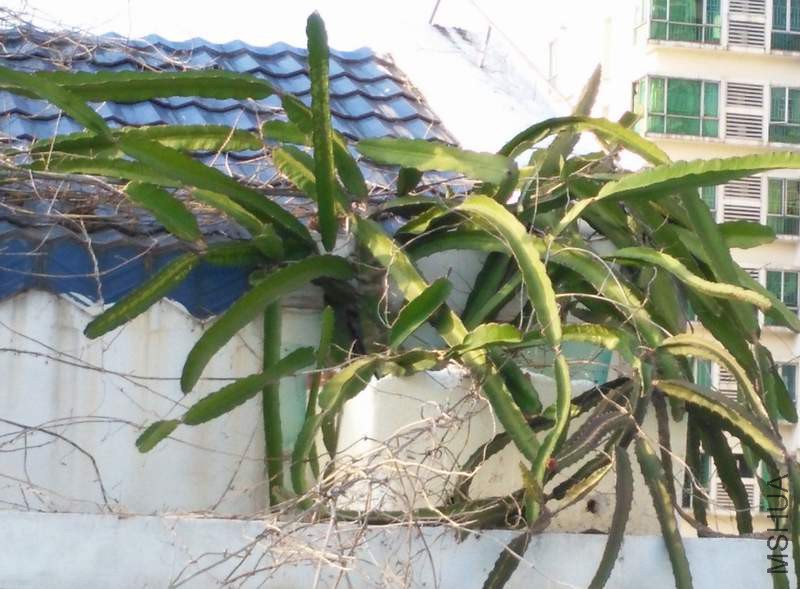 ������ 2.JPG