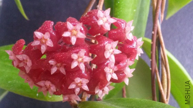 20150517_173733.jpg