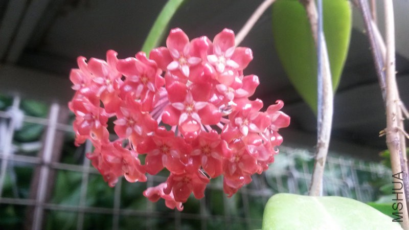 20150517_151231.jpg