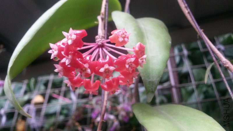 20150517_151148.jpg
