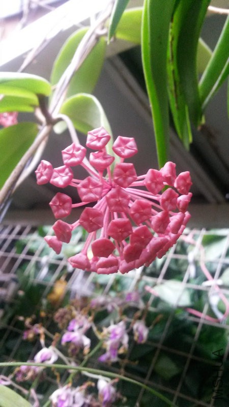20150517_150929.jpg