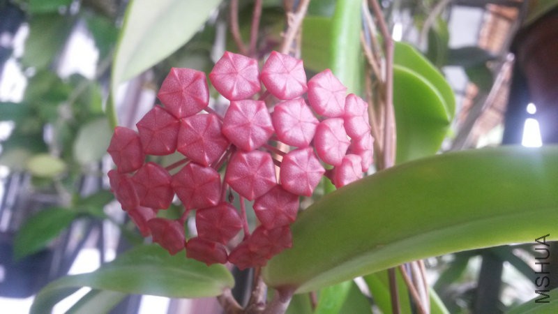 20150516_165635.jpg