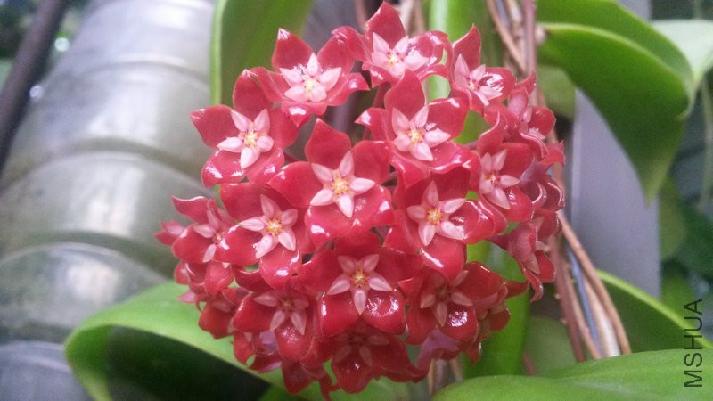 20150516_183425.jpg