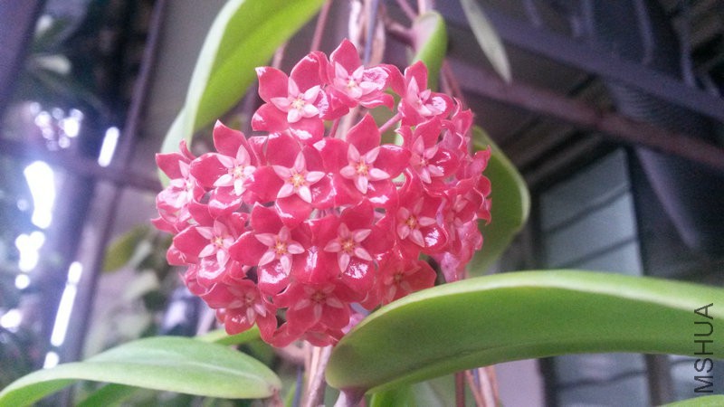 20150516_184057.jpg
