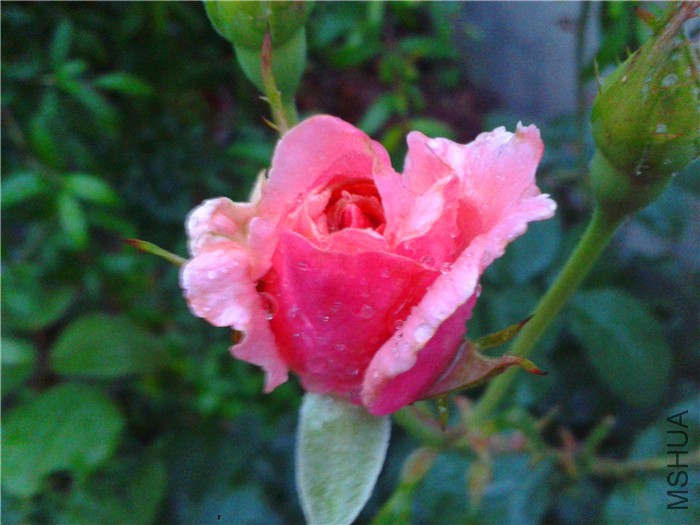 �ϴα��ڵ�������Ǥ��ĺ��