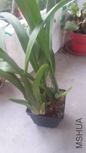 20150519_181317.jpg