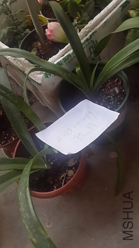 ������