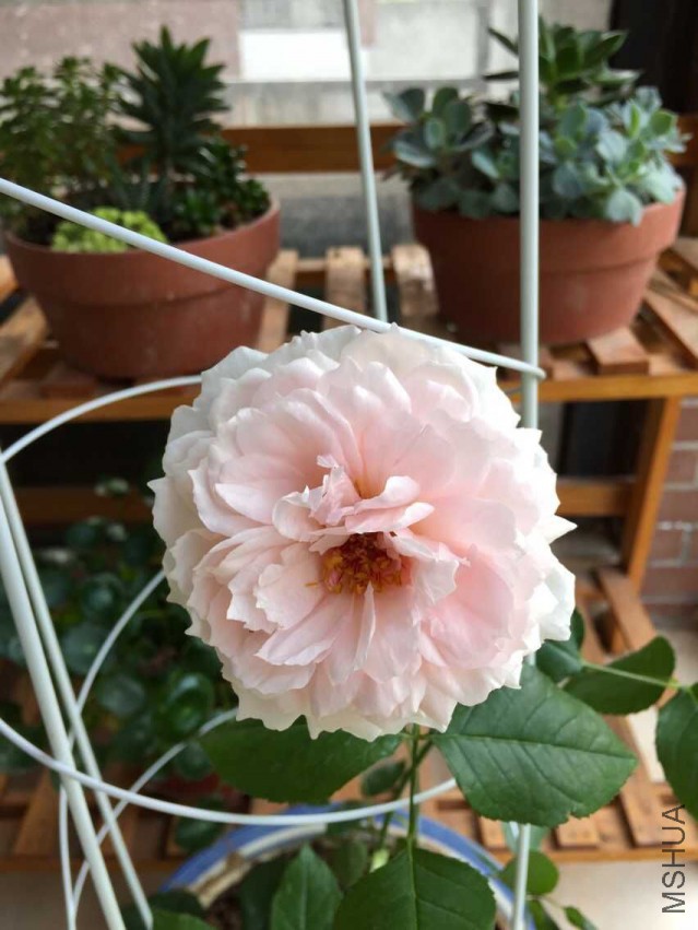 QQͼƬ20150520092142.jpg