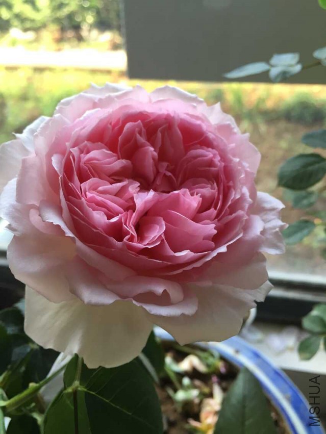 QQͼƬ20150520092136.jpg