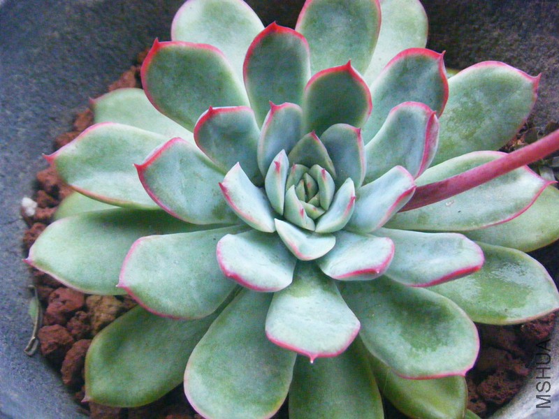 DSCF1084_����.jpg