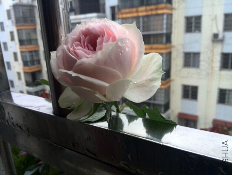 QQͼƬ20150520154341.jpg
