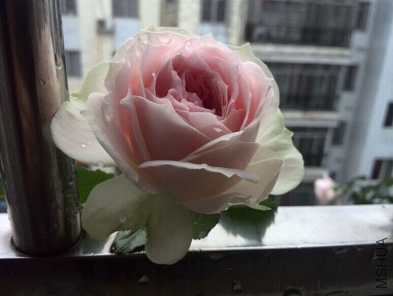 QQͼƬ20150520154326.jpg
