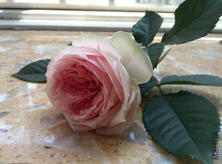 QQͼƬ20150520154448.jpg